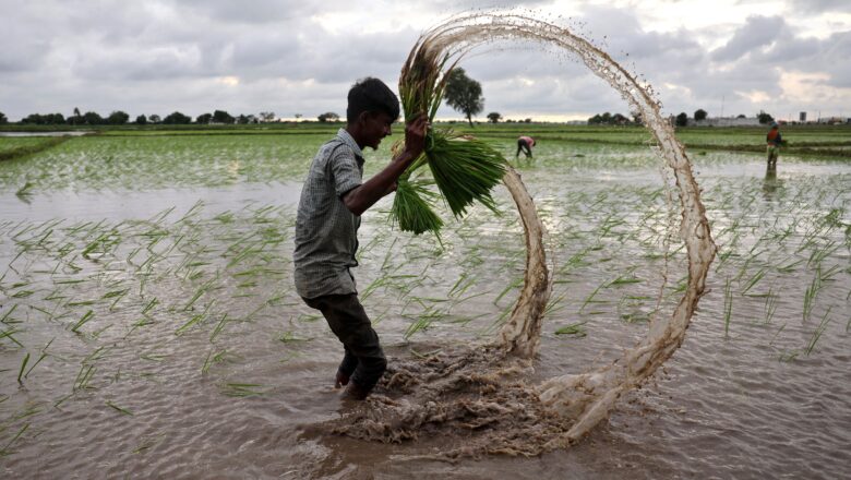 Monsoon Stalls Across India as Rainfall Deficit Reaches 64%, Raising Alarm for Agriculture and Water Supply