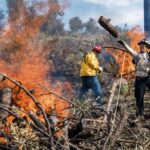Prescribed Burns May Cut Wildfire Smoke Pollution by 10% in California, Study Find