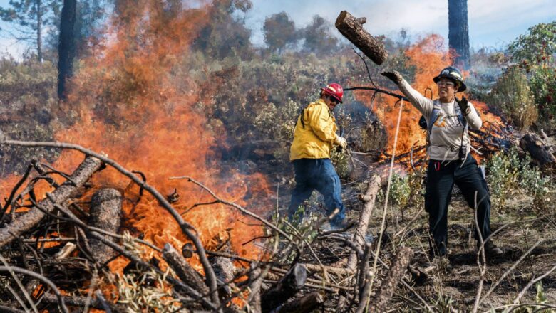 Prescribed Burns May Cut Wildfire Smoke Pollution by 10% in California, Study Find