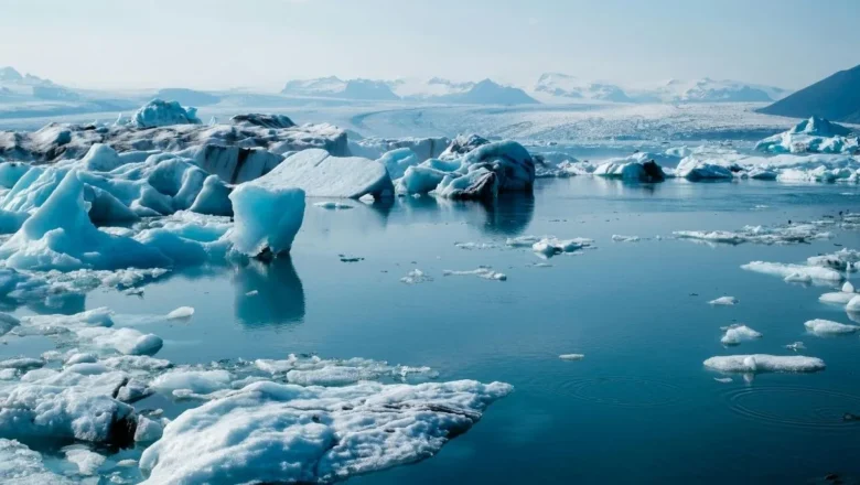 Arctic Iceberg Melting Creates Unexpected Marine Habitats as Climate Change Reshapes Ocean Life
