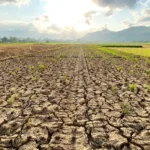 Droughts May Be Fueling a Hidden Health Crisis: Climate Change Linked to Rising Antibiotic Resistance