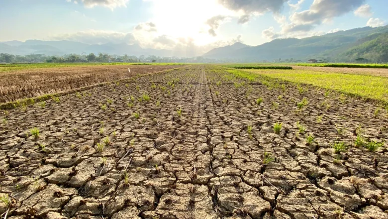 Droughts May Be Fueling a Hidden Health Crisis: Climate Change Linked to Rising Antibiotic Resistance