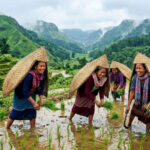 Meghalaya Bamboo Umbrellas Are Going Viral for 100 Year Old Rain Shield That Needs No Handle
