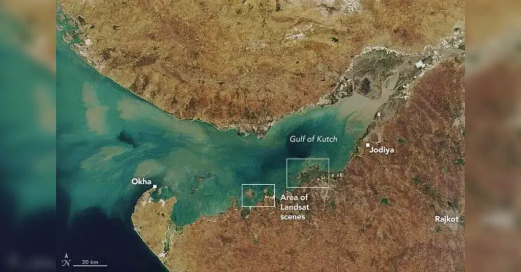 Gujarat High Court Holds Tata Chemicals Liable for Damage to Gulf of Kutch Marine Sanctuary