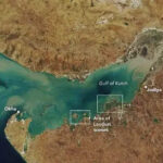 Gujarat High Court Holds Tata Chemicals Liable for Damage to Gulf of Kutch Marine Sanctuary