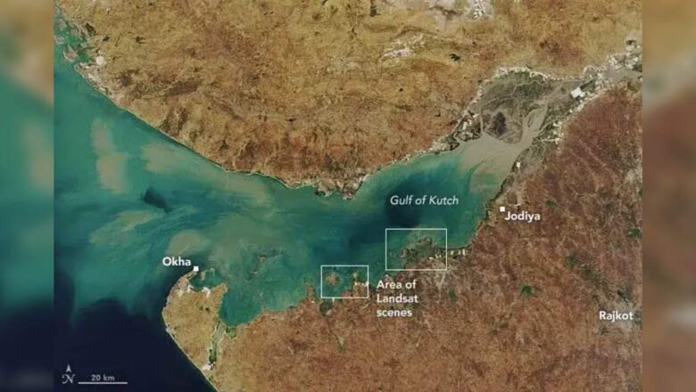Gujarat High Court Holds Tata Chemicals Liable for Damage to Gulf of Kutch Marine Sanctuary