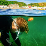 Seagrass Restoration Helps Revive Polluted Portuguese Lagoon