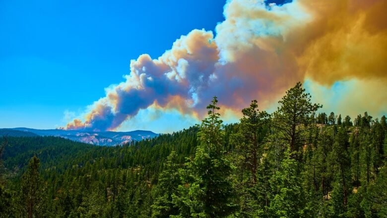 Heat Waves Dramatically Increase Wildfire Risk in Western United States, Study Finds