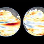 Super El Nino Could Devastate Fisheries and Leave Marine Animals Starving