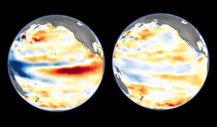 Super El Nino Could Devastate Fisheries and Leave Marine Animals Starving