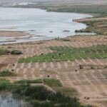 Banda Scorching Summer Turns Into Water Crisis as Ken River Dries Up