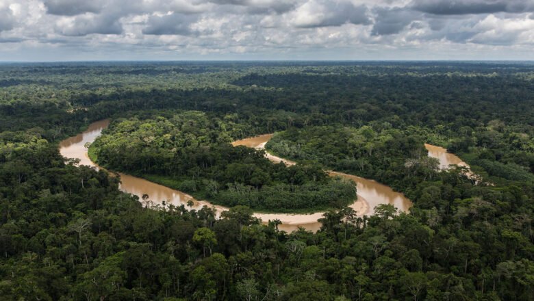 Tropical Forests Absorb Less Carbon Than Scientists Previously Believed, New Study Finds