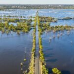 Massive Murray Flood Boosted Ocean Life, Flushed Millions of Invasive Carp Into the Sea