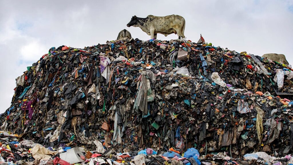 Illegal Textile Waste Shipment From Italy to Turkey Exposes Major Environmental Crime