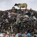 Illegal Textile Waste Shipment From Italy to Turkey Exposes Major Environmental Crime