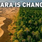 Sahara Green With Rivers and Hippos 6,000 Years Ago Before Turning Into Desert