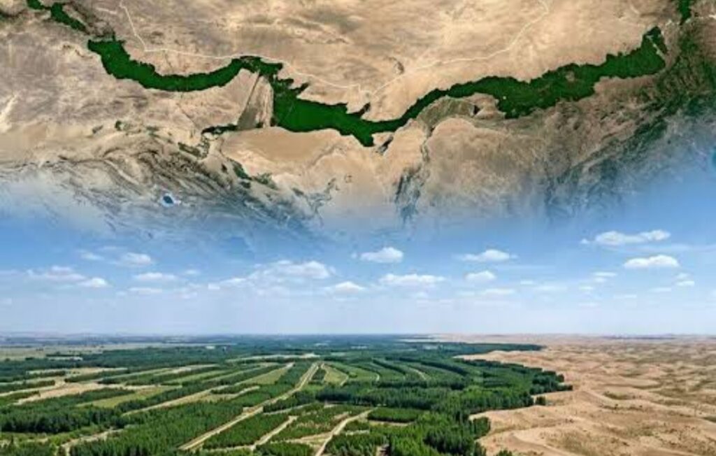 China Afforestation Drive Boosts Canopy Growth But Long term Carbon Gains Remain Uncertain: Study