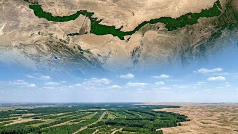 China Afforestation Drive Boosts Canopy Growth But Long term Carbon Gains Remain Uncertain: Study
