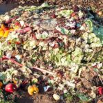 Japan Food Waste Falls to Record Low for Third Consecutive Year Cuts by 2030