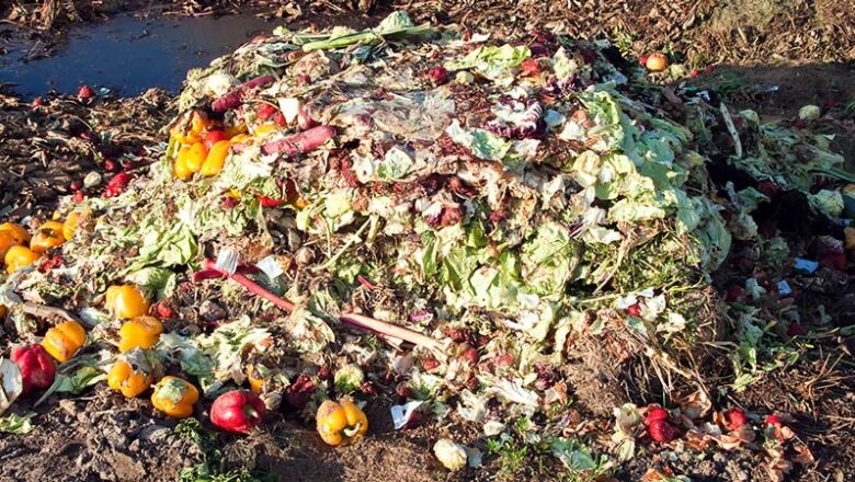 Japan Food Waste Falls to Record Low for Third Consecutive Year Cuts by 2030
