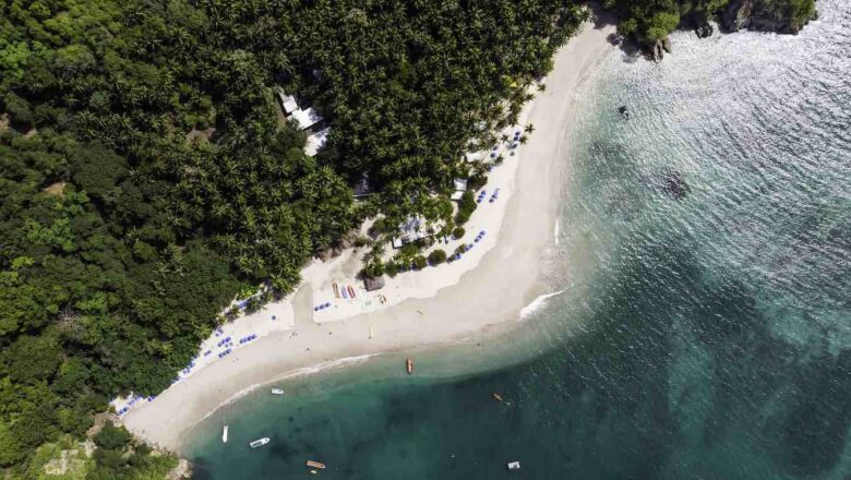 Costa Rica Remarkable Forest Revival Shows How a Nation Reversed Decades of Deforestation