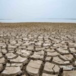 Extreme Amazon Drought Weakens Natural Climate Defense, Scientists Warn