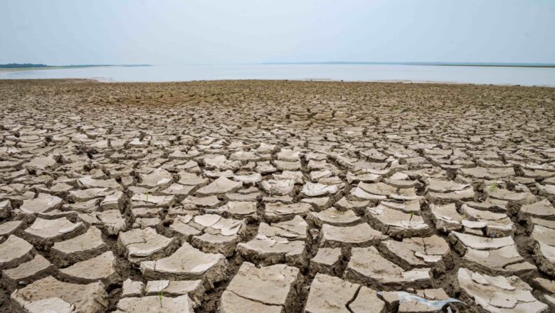 Extreme Amazon Drought Weakens Natural Climate Defense, Scientists Warn