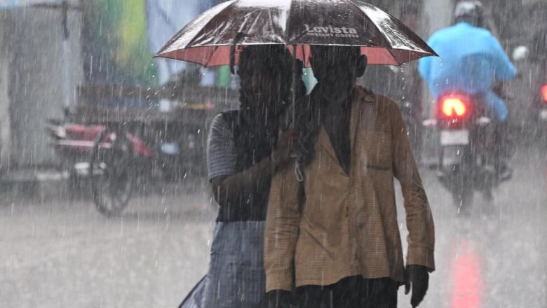 Environmentalists Urge Tamil Nadu to Form Dedicated El Niño Monitoring Cell