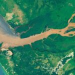 Giant Ocean Eddies Tracked Swirling Congo River Water Across the Atlantic