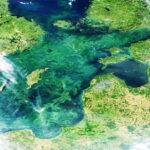 Climate Adaptation Gaps Threaten Europe’s Coastal Fisheries