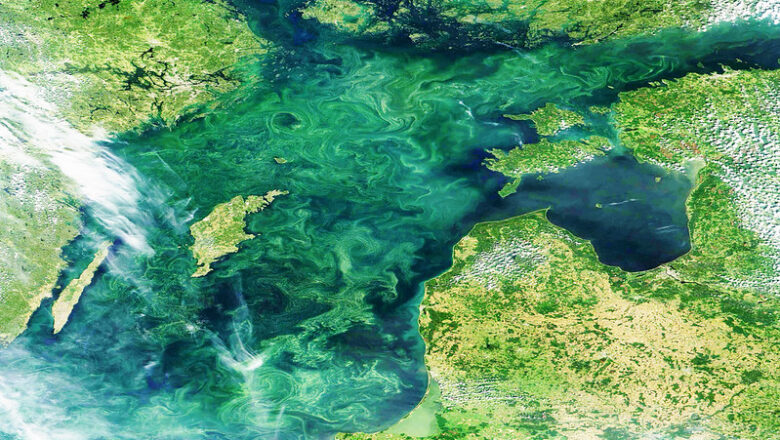 Climate Adaptation Gaps Threaten Europe’s Coastal Fisheries