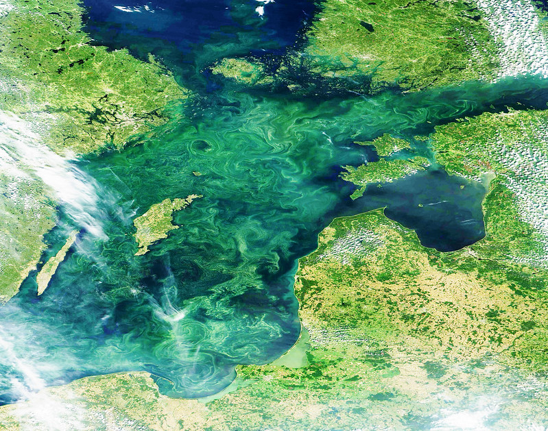Climate Adaptation Gaps Threaten Europe’s Coastal Fisheries