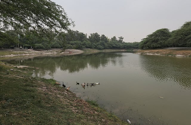 Life returns to Sanjay Lake in Delhi as water replenishment sparks ecological recovery