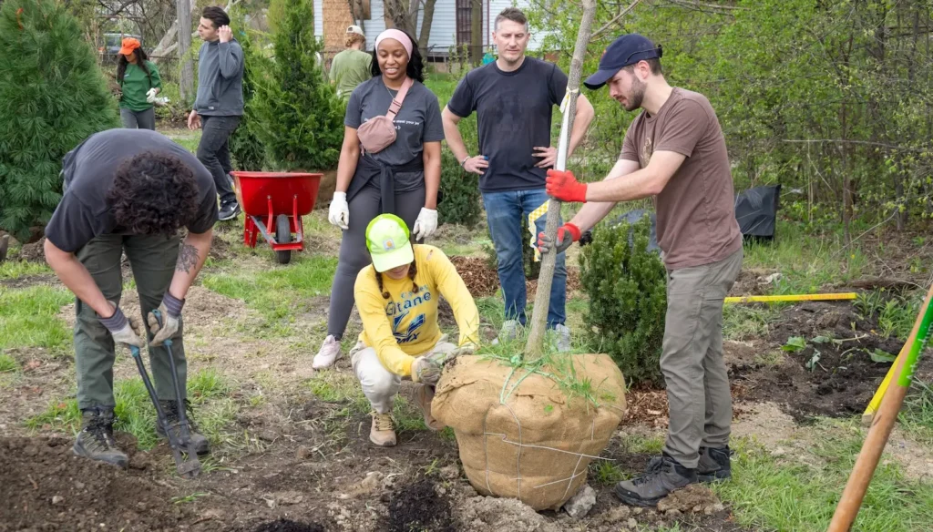 Urban Forests Must Be Mandatory Critical Infrastructure, Scientists Argue