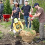 Urban Forests Must Be Mandatory Critical Infrastructure, Scientists Argue