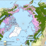 Arctic map reveals northern boreal forests remain predominantly mature despite logging and wildfires