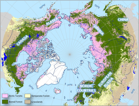 Arctic map reveals northern boreal forests remain predominantly mature despite logging and wildfires