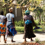 Invisible Harvests: Dwindling Seagrass Meadows Disproportionately Impact Coastal Women in Mozambique