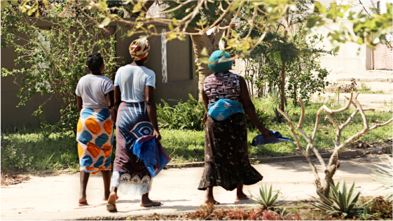 Invisible Harvests: Dwindling Seagrass Meadows Disproportionately Impact Coastal Women in Mozambique