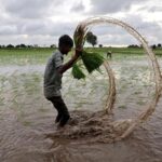 Monsoon Likely to Weaken Across Western, Southern India, Crop Sowing May Be Affected