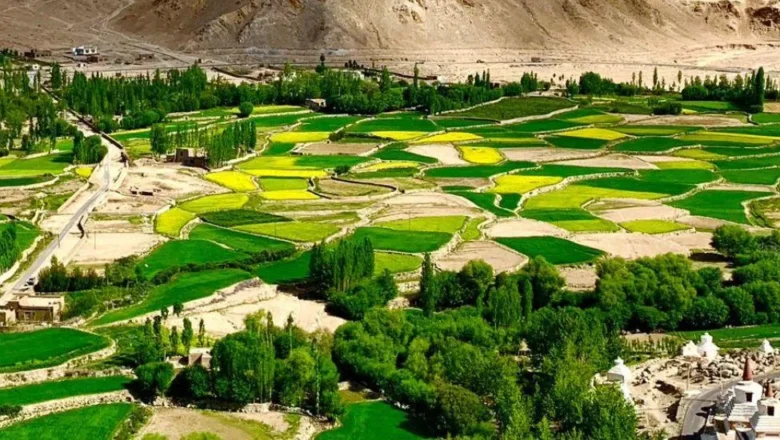 Glacier fed restoration transforms barren land into green fields in Leh