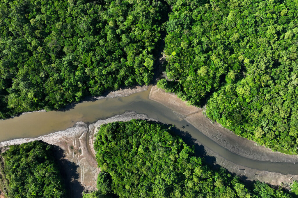 Amazon Deforestation Falls to Lowest Level in over a decade, Brazil reports