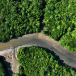 Amazon Deforestation Falls to Lowest Level in over a decade, Brazil reports