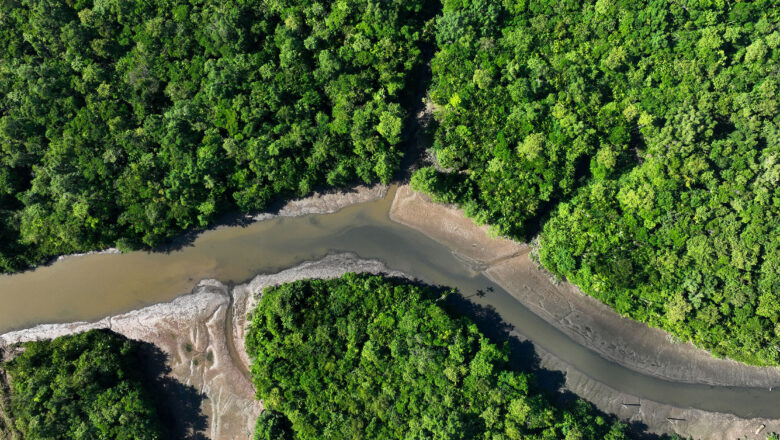 Amazon Deforestation Falls to Lowest Level in over a decade, Brazil reports