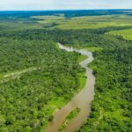 Heat Waves Pushing Tropical Forests Beyond Photosynthesis Limits Threatening Carbon Absorption