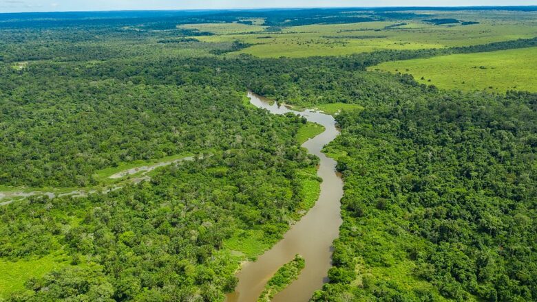 Heat Waves Pushing Tropical Forests Beyond Photosynthesis Limits Threatening Carbon Absorption