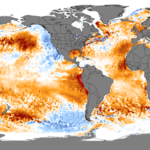 Ocean Heat Fuels Worsening Heatwaves and Extreme Weather Worldwide: Report