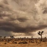 WMO flags Global Sand Dust Storm Hotspots calls for Stronger Forecasting International Cooperation