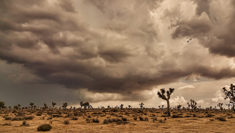 WMO flags Global Sand Dust Storm Hotspots calls for Stronger Forecasting International Cooperation