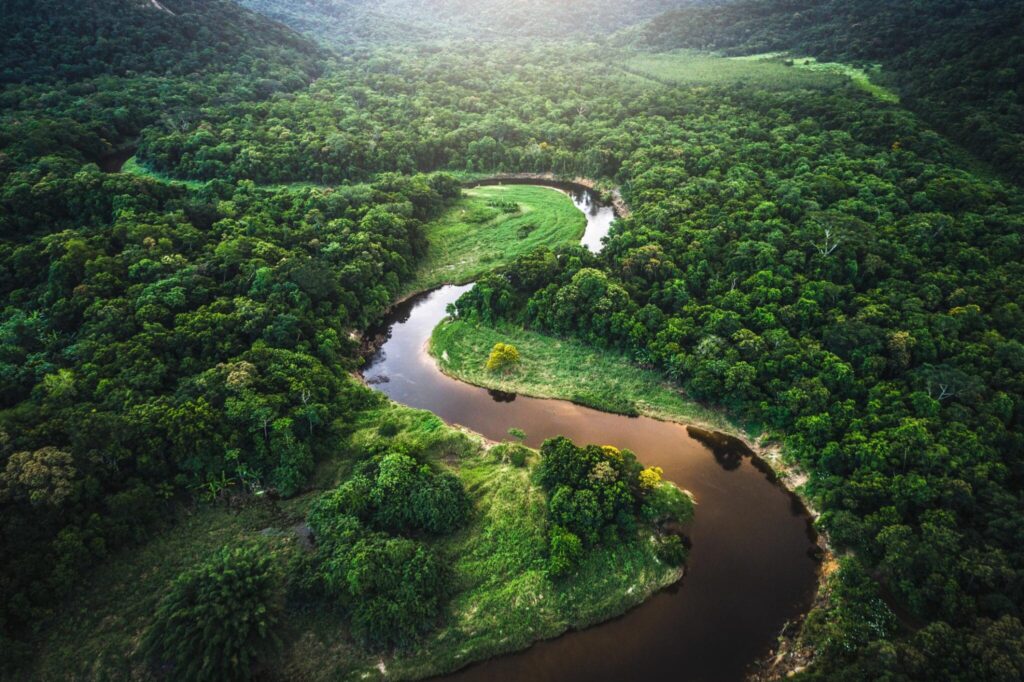 Amazon Wetlands Emit far More Methane than Climate Models Estimate: Study